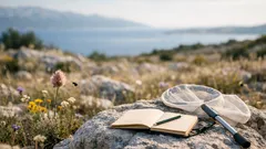 Otkrivena nova vrsta pčele s “đavoljim rogovima”: Megachile lucifer i poruka o bioraznolikosti